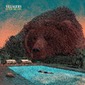 the album cover for Villagers - Fever Dreams