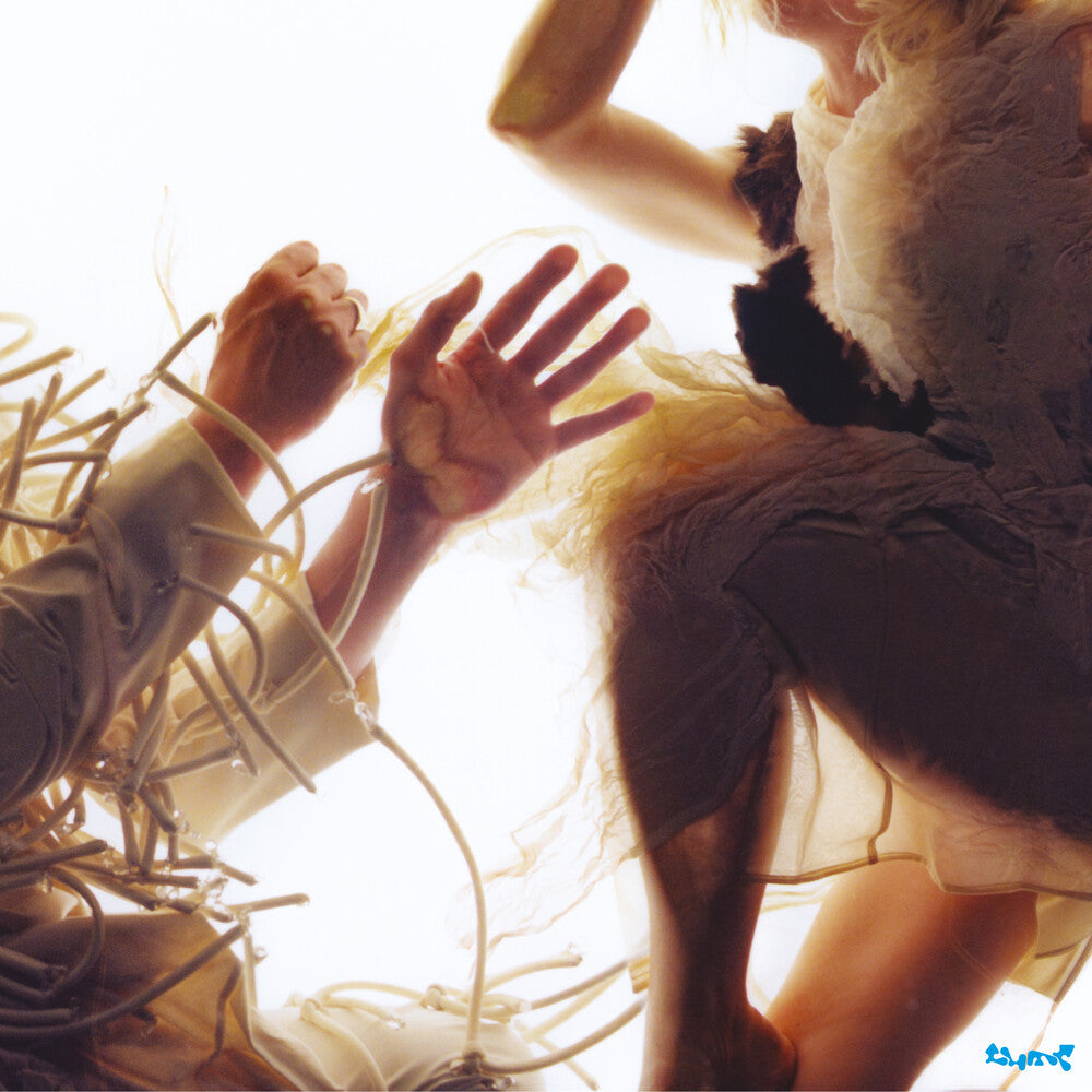 the album cover for Lump - Animal