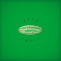 the album cover for Spiritualized - Pure Phase: Remastered [LP]