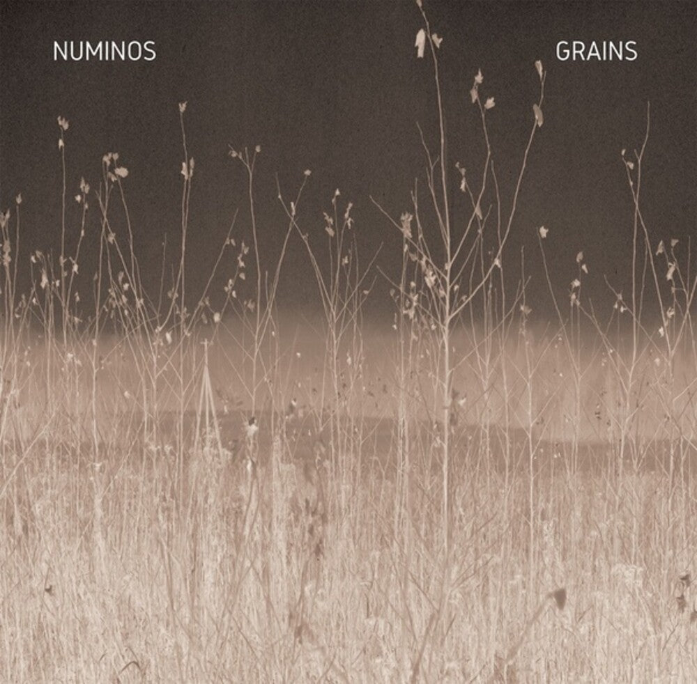 the album cover for Numinos - Grains