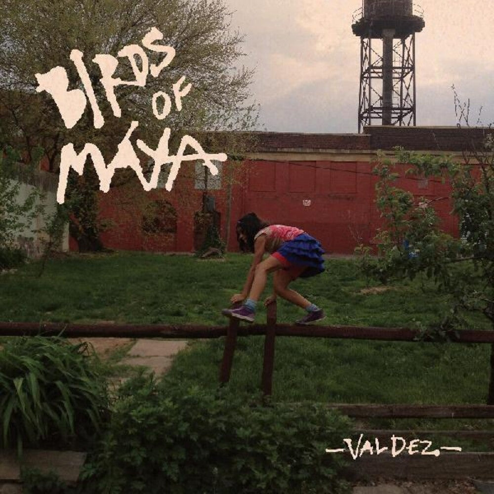 the album cover for Birds Of Maya - Valdez (Post)