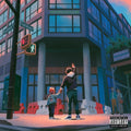the album cover for Skyzoo - All The Brilliant Things