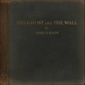 the album cover for Joshua Radin - The Ghost and the Wall