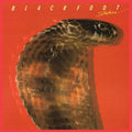 the album cover for Blackfoot - Strikes (Audp) [Colored Vinyl] [Limited Edition] [180 Gram] (Red) (Aniv)