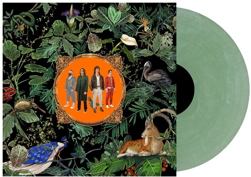 the album cover for Don Broco - Amazing Things (Green Marble) [Colored Vinyl] (Grn)