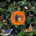 the album cover for Don Broco - Amazing Things