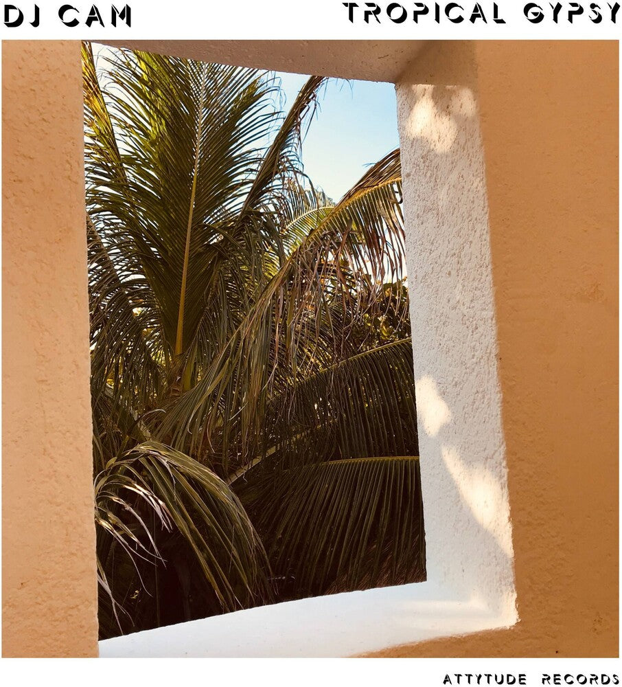 the album cover for DJ Cam - Tropical Gypsy