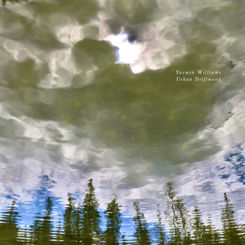the album cover for Yasmin Williams - Urban Driftwood