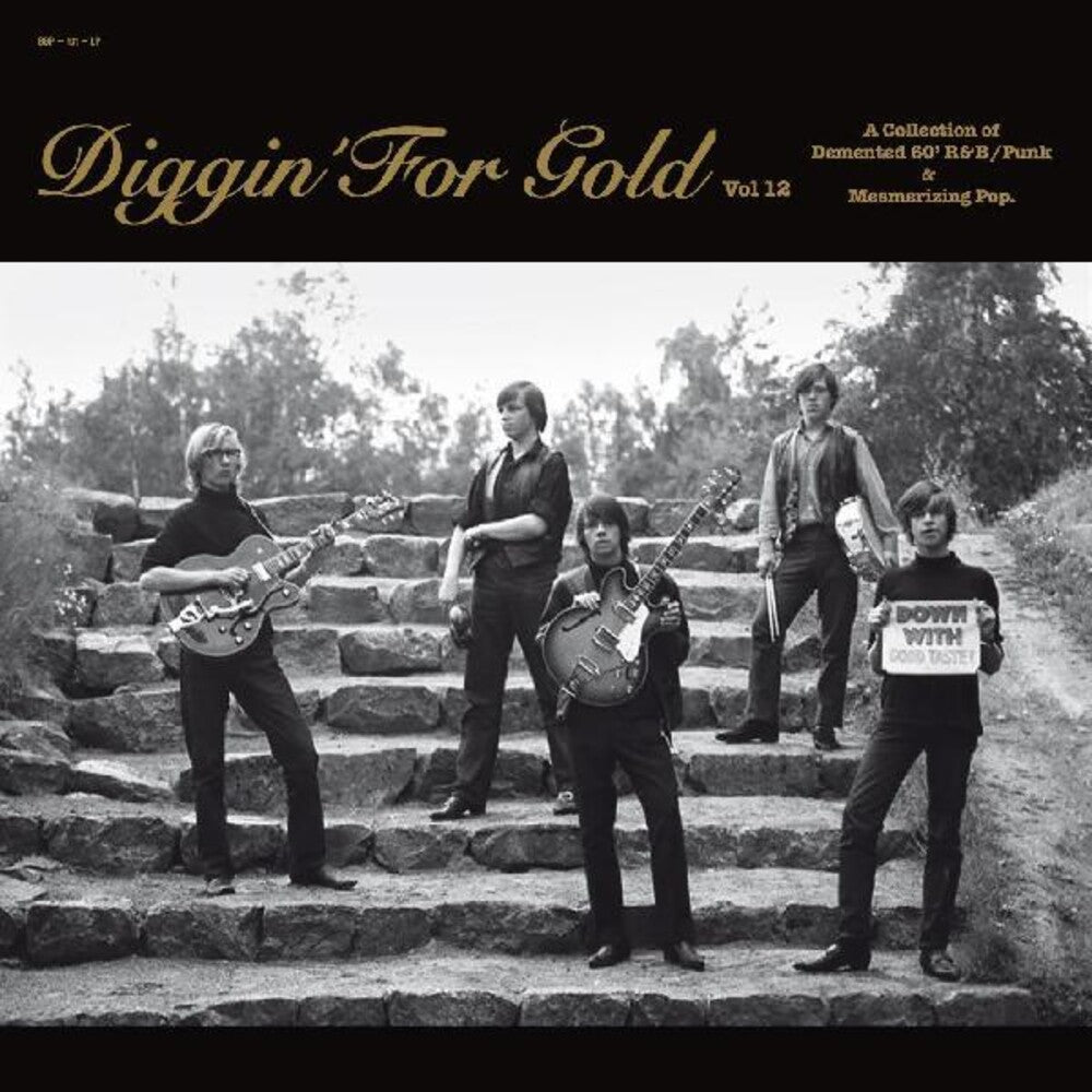 the album cover for Various Artists - Diggin' For Gold 12 (Various Artists)
