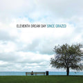 the album cover for Eleventh Dream Day - Since Grazed