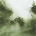 the album cover for Megan Siebe - Swaying Steady