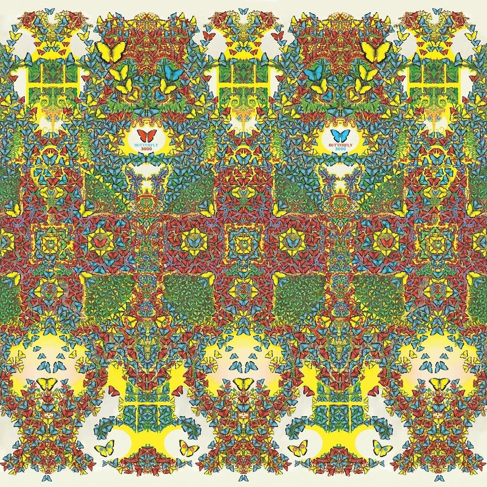 the album cover for King Gizzard & The Lizard Wizard - Butterfly 3000 [Dutch Cover LP]