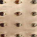 the album cover for Thalia Zedek - Perfect Vision