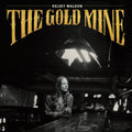 the album cover for Kelsey Waldon - Goldmine