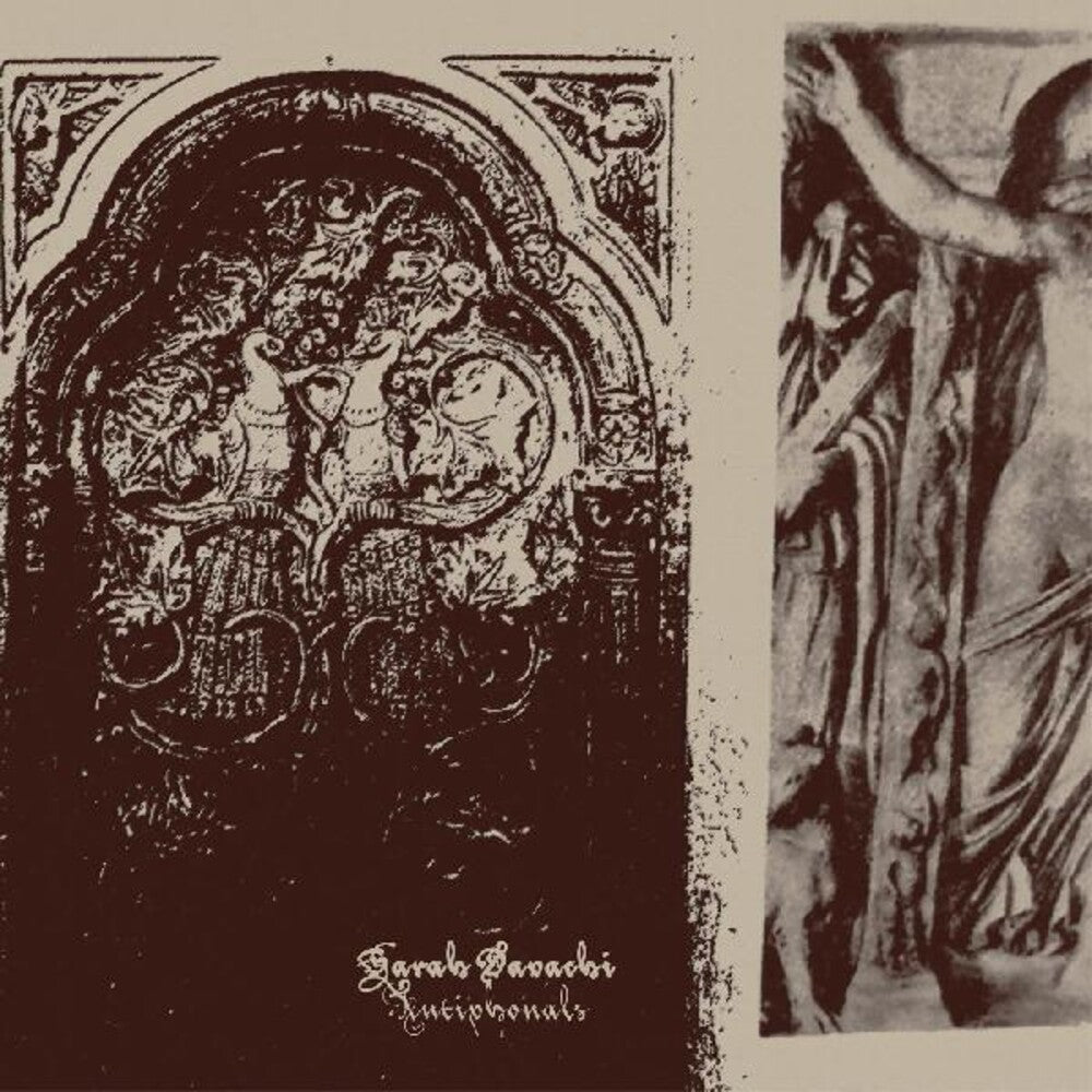 the album cover for Sarah Davachi - Antiphonals
