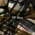 the album cover for RP Boo - Established