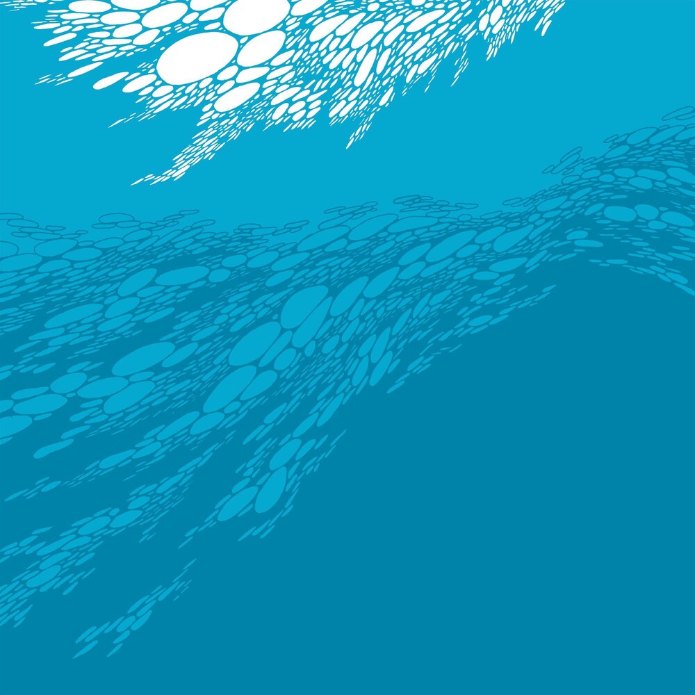 the album cover for Boris - Flood [LP]