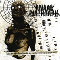 the album cover for Anaal Nathrakh - When Fire Rains Down from the Sky, Mankind Will Reap as It Has Sown