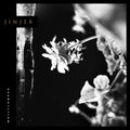 the album cover for Jinjer - Wallflowers
