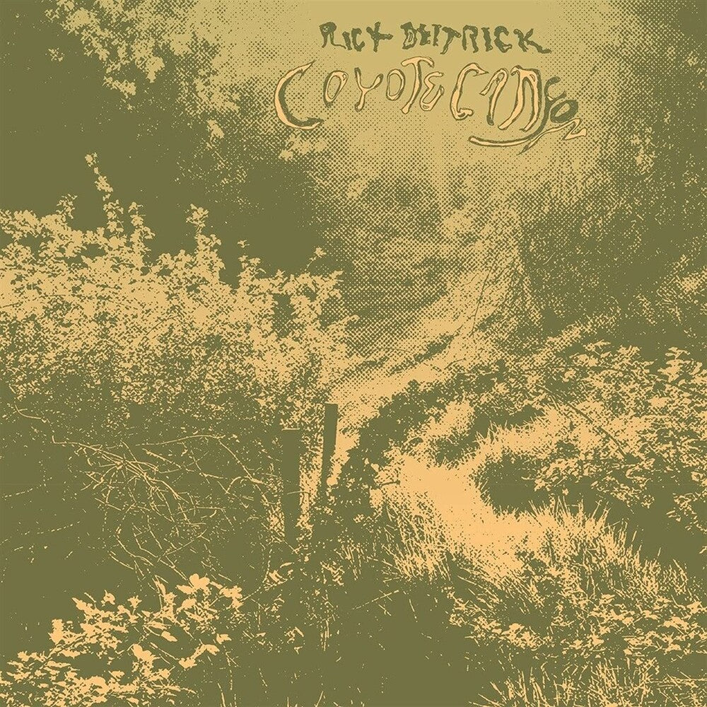 the album cover for Rick Deitrick - Coyote Canyon [LP]