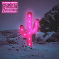 the album cover for The Record Company - Play Loud [Indie Exclusive Limited Edition CD + Poster]