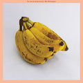 the album cover for Mac McCaughan - The Sound of Yourself