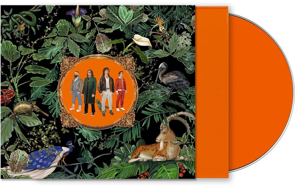 the album cover for Don Broco - Amazing Things (Orange Jewel Case) [Limited Edition]