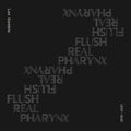 the album cover for Lee Gamble - Flush Real Pharynx 2019 - 2021