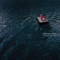 the album cover for Dar Williams - I'll Meet You Here