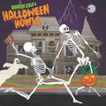 the album cover for Andrew Gold - Halloween Howls: Fun &amp; Scary Music [LP]