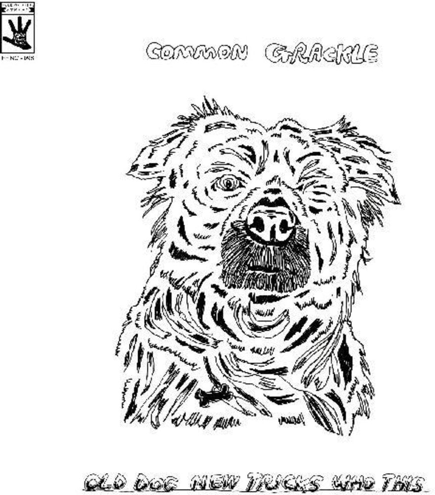 the album cover for Common Grackle - Old Dog New Tricks Who This [Download Included]