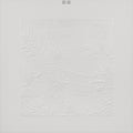 the album cover for Bon Iver - Bon Iver: 10th Anniversary Edition [Limited Edition White 2LP]