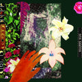the album cover for Dos Santos - City Of Mirrors (Uk)