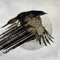 the album cover for Katatonia - Mnemosynean [LP]