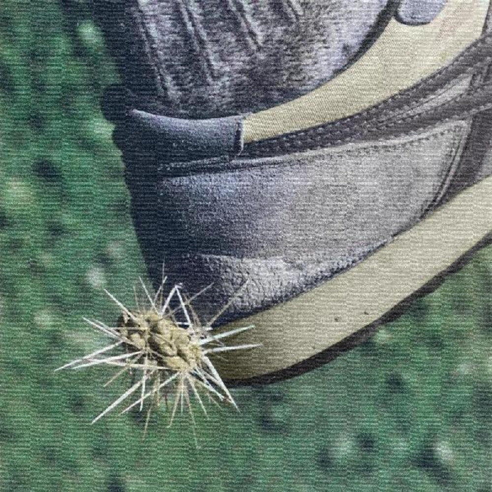 the album cover for Ross from Friends - Tread