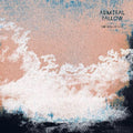 the album cover for Admiral Fallow - The Idea Of You