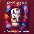 the album cover for David Kilgour - A Feather In The Engine