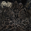 the album cover for Apparition - Feel