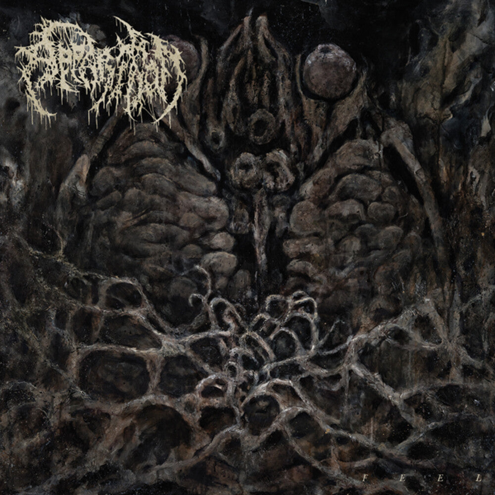 the album cover for Apparition - Feel