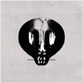 the album cover for Bullet For My Valentine - Bullet For My Valentine