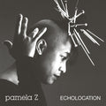 the album cover for Pamela Z - Echolocation (Natural Swirl Vinyl) [Colored Vinyl]