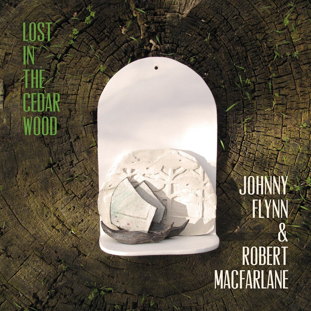 the album cover for Johnny Flynn - Lost In The Cedar Wood