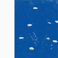 the album cover for Merzbow - Flare Blues