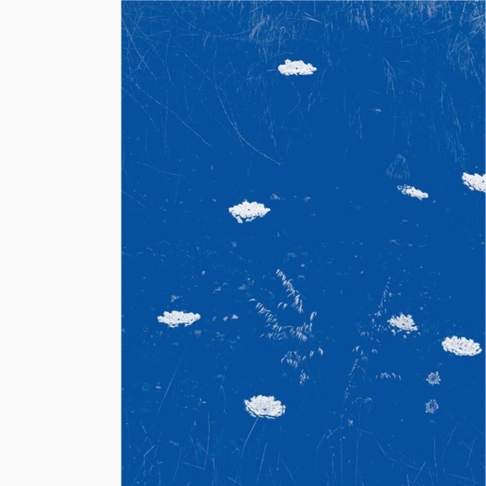 the album cover for Merzbow - Flare Blues