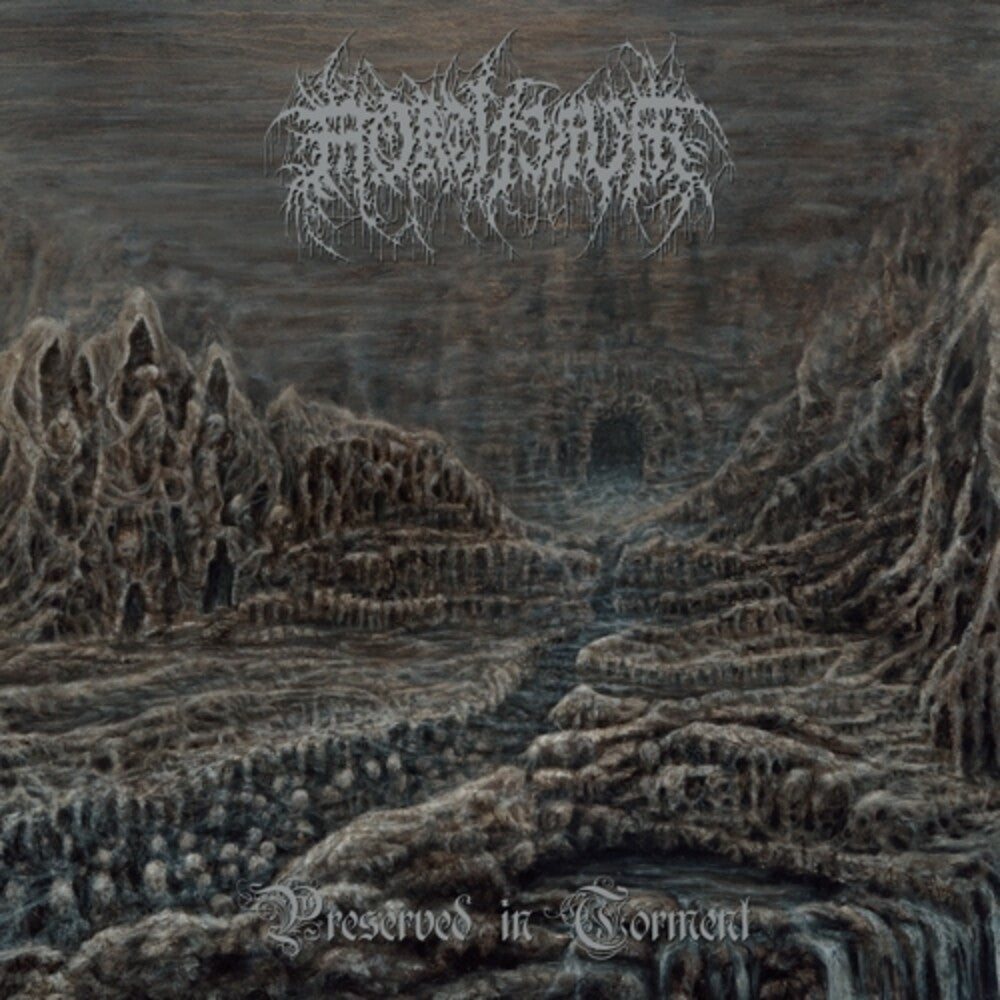the album cover for Mortiferum - Preserved In Torment