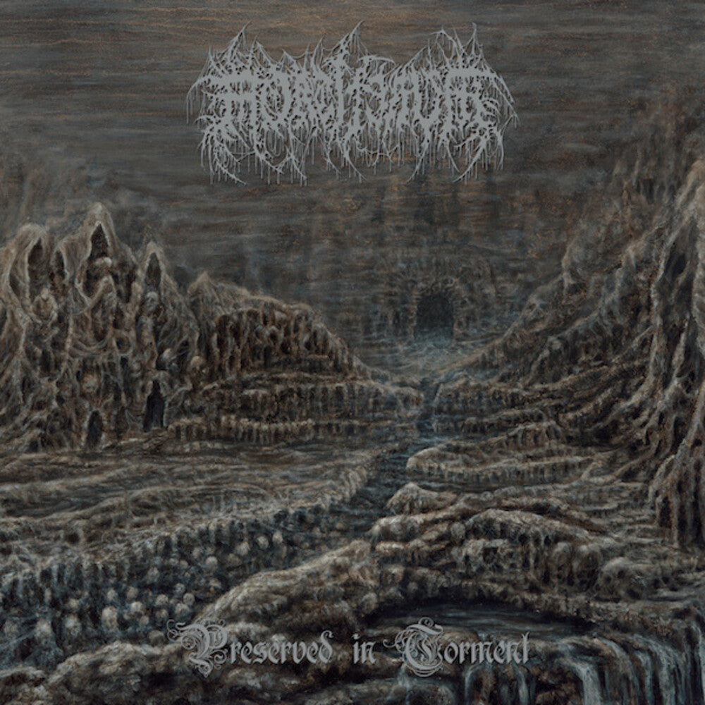 the album cover for Mortiferum - Preserved In Torment