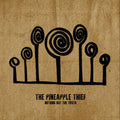 the album cover for The Pineapple Thief - Nothing But The Truth [2LP]