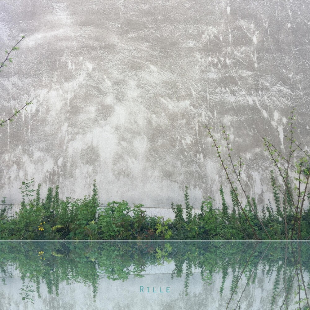 the album cover for Liz Allbee - Rille