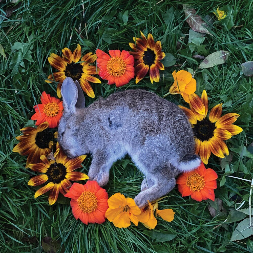 the album cover for Monolord - Your Time To Shine [LP]