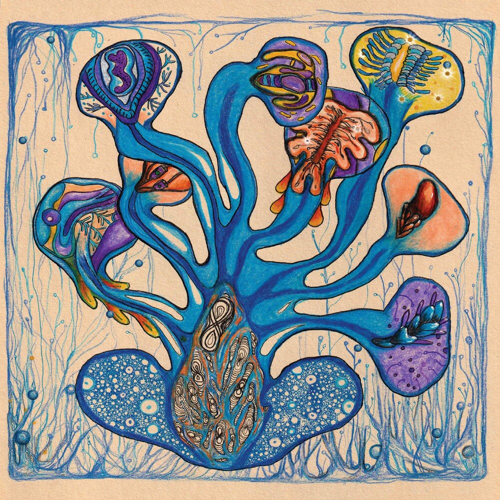 the album cover for Houeida Hedfi - Fleuves De L Ame